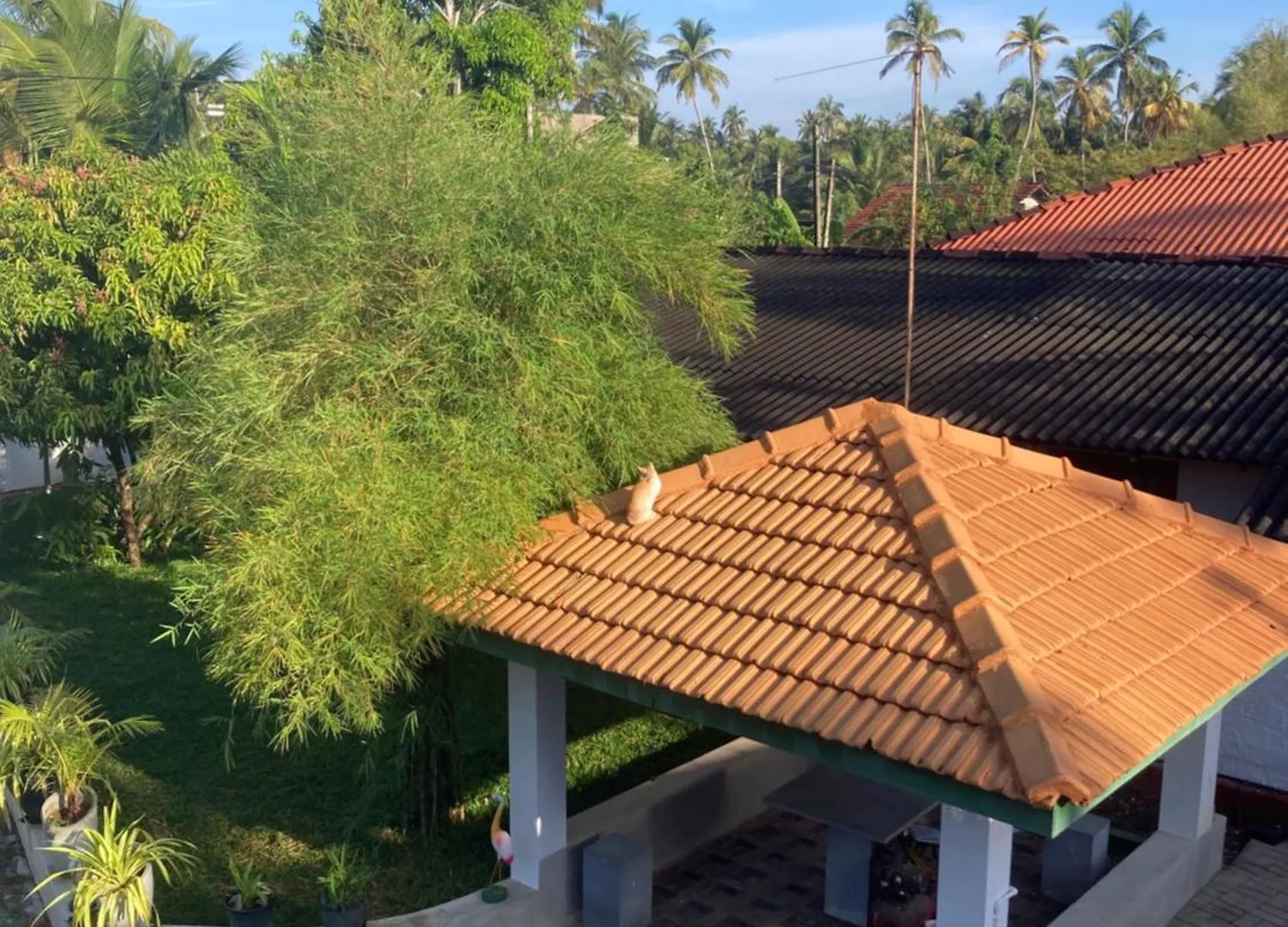 Costa'S Villa, Tropical Oasis, Sigiriya Room Kepungoda Guest house